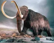 mamiferos-em-extincao-8