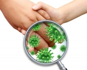 Mitos e Verdades Sobre Germes (3)