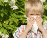 Mitos e Verdades Sobre Germes (5)