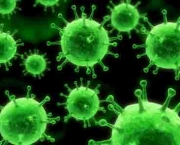 Mitos e Verdades Sobre Germes (6)