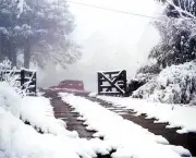Neve no Brasil Saiba Mais Sobre o Fenomeno (15)