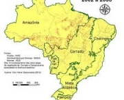 o-que-o-governo-faz-para-combater-o-desmatamento-da-caatinga-4