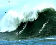 ondas-gigantes-13