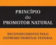 principio-do-promotor-natural-2