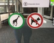 Proibida a Entrada de Cachorros (6).jpg