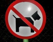 Proibida a Entrada de Cachorros (11).jpg