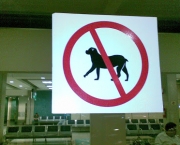 Proibida a Entrada de Cachorros (12).jpg