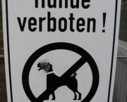 Proibida a Entrada de Cachorros (14).jpg