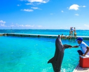 dolphin-island-park-punta-cana-divulgacao.jpeg