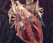 qual-o-significado-de-infarto-do-miocardio-parte-2-5