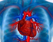 qual-o-significado-de-infarto-do-miocardio-5