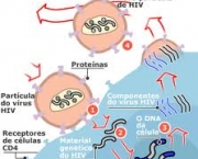 que-tipo-de-virus-e-o-hiv-3