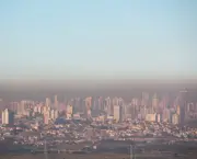 São Paulo (2)