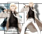 shinji-hirako-do-bleach-10