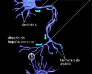 sinapse-artificial-11