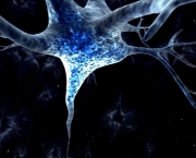 sinapse-artificial-6