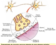 sinapse-artificial-8