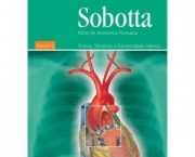 sabotta-anatomia-19