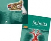 sabotta-anatomia-4