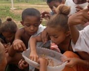 Solução Para a Fome no Brasil (2)