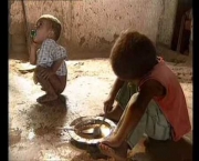 Solução Para a Fome no Brasil (9)