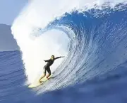 Surfe 11