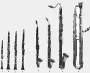 tipos-de-instrumentos-musicais-1