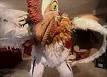 Galinha Hermafrodita Galinha Hermafrodita