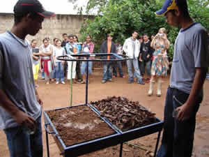 Educação Ambiental