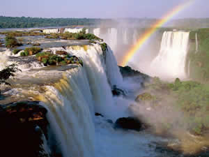 Educação Ambiental, Cidadania e Sustentabilidade