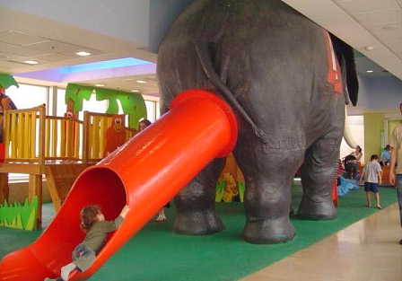 Escorregador no Traseiro do Elefante Escorregador no Traseiro do Elefante