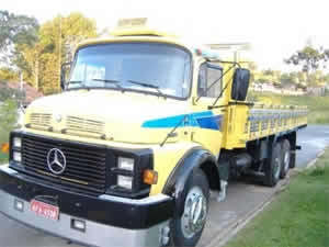 Caminhão 1113