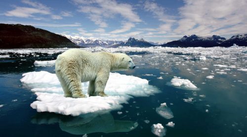 Aquecimento Global em Área Ártica 