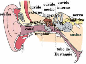 Causas da Vertigem