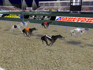 Corrida De Cachorro