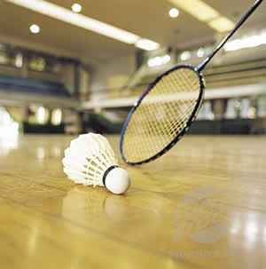 Badminton