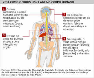 Gripe Aviária