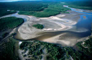 Guiné Bissau