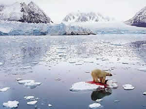 Soluções Aquecimento Global Soluções Aquecimento Global