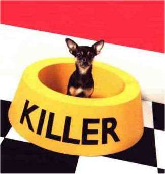 Cachorro Killer Cachorro Killer