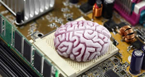 Cerebro Em Um Chip