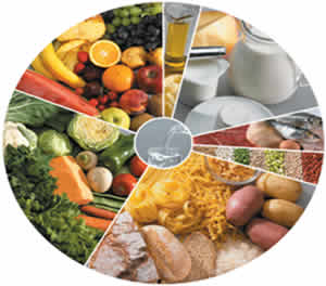 Dieta De Carboidratos Alimentação