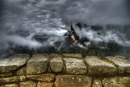 Falcão Sobrevoando Machu Picchu Falcão Sobrevoando Machu Picchu
