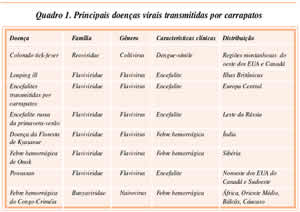 Doenças causadas por Carrapatos