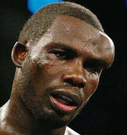 Galo Gigante no Boxe Galo Gigante no Boxe