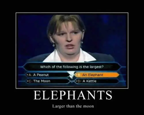 Elefante - mais largo que a lua