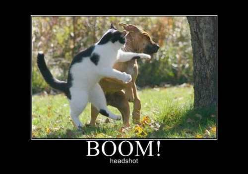 Boom! Headshot Boom! Headshot