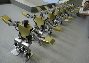 robos-1 Sucesso
