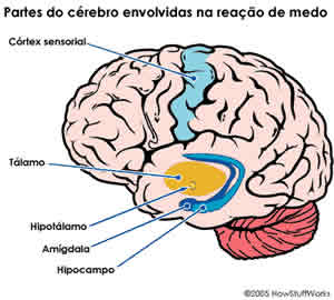 Sintomas