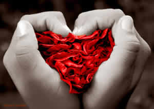 Amor Verdadeiro Amor